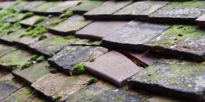 Rothley roof repair costs